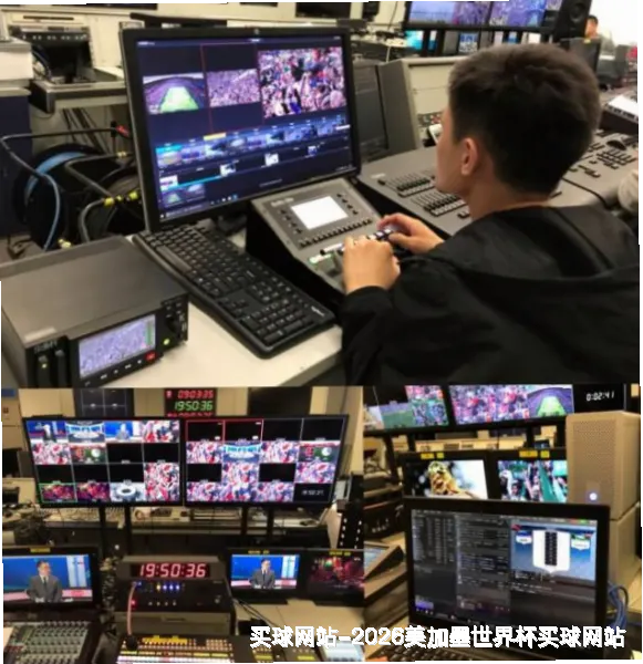 历史命中率展示